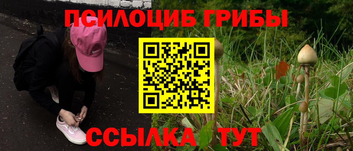 Сухой Лог  Псилоцибиновые грибы Psilocybine cubensis  Вход с VPN  Галлюциногенные грибы Psilocybine cubensis 